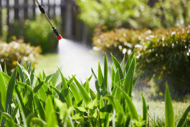 24/7 Emergency Cockroach Control experts in Henderson, TN